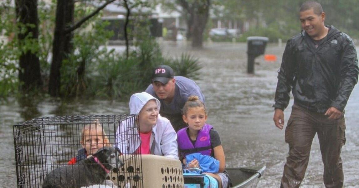 Average Atlantic hurricane season predicted
