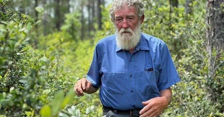 Conservation secured for 465 acre-forest