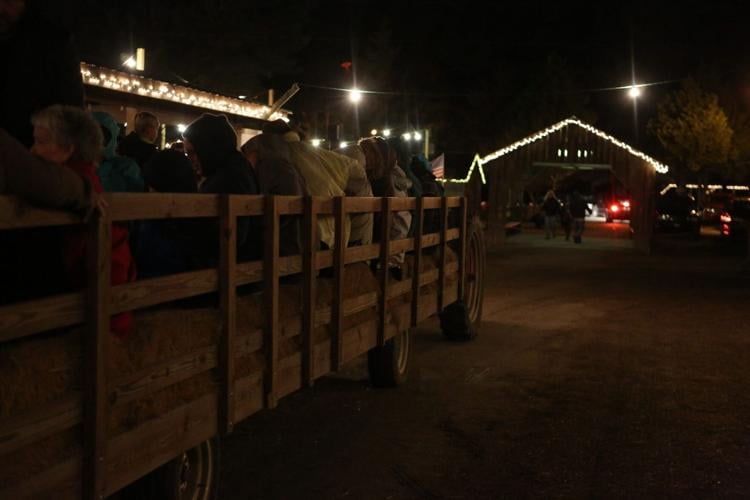 PHOTOS Mike's Farm Christmas Display News