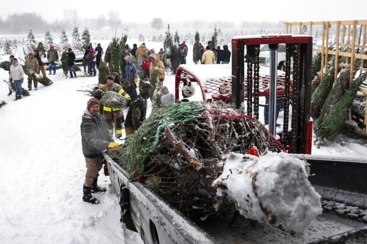 Photos Tree farm loads up Trees for Troops News