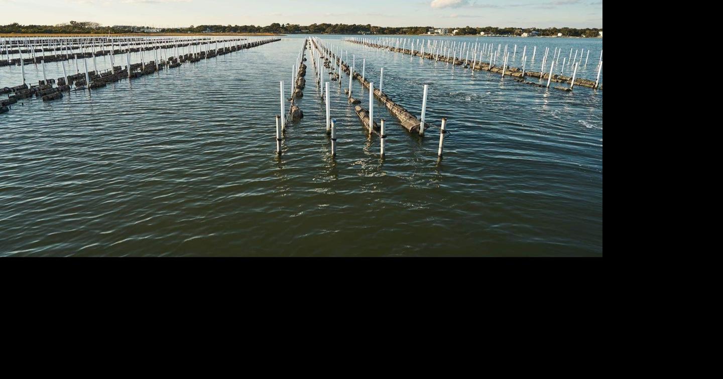Local fishermen concerned about rapid increase of shellfish farm leases ...