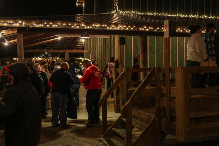 PHOTOS Mike's Farm Christmas Display News