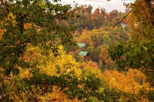 Cabin Dreams, Real Decisions: What to Consider Before You Buy