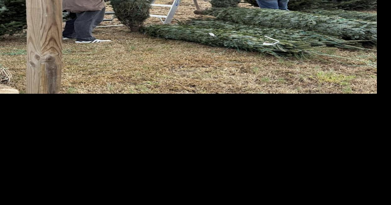 Justice Farms opens for 36th season