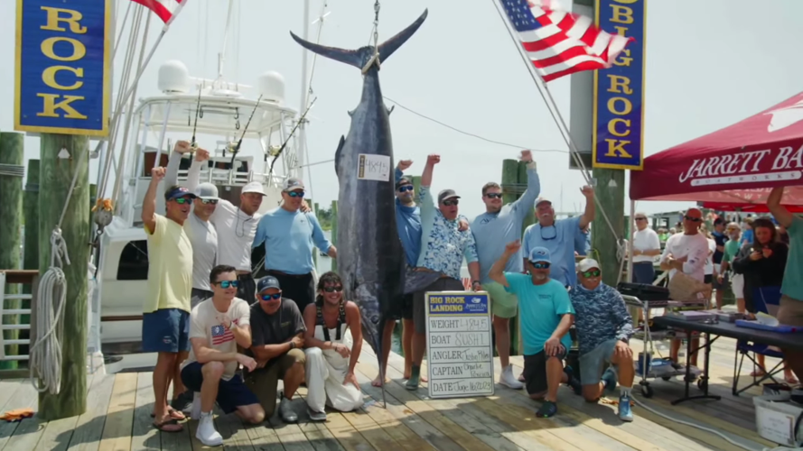 Big rock online blue marlin tournament