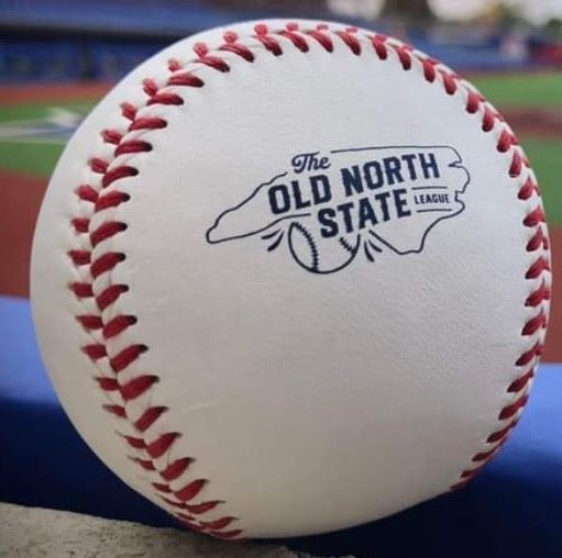 Minor-league team offers taste of baseball with 'Dining on the Diamond