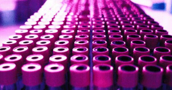 Red Cross puts out the call for blood donations By Belen Ward Aug 12, 2026 6 mins ago