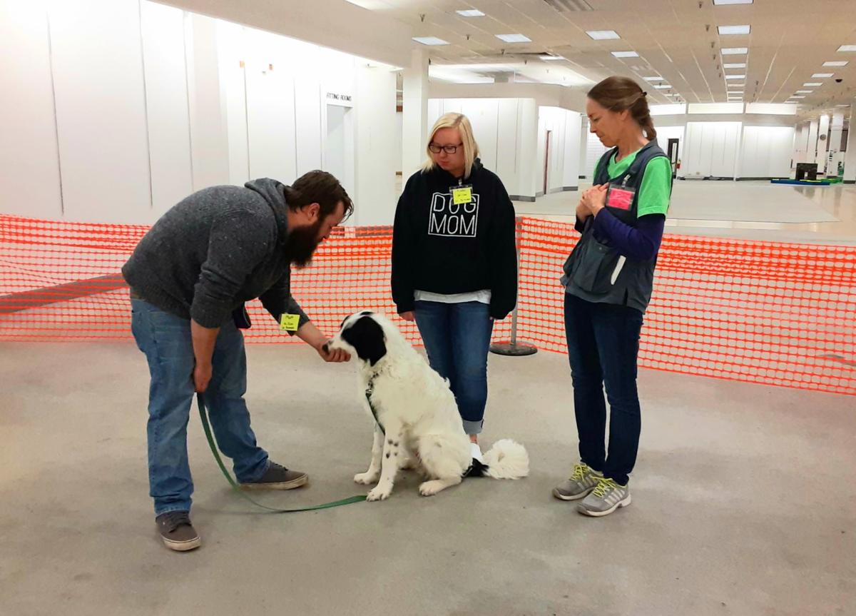 Charleston Area Dog Club Holding Classes At Mattoon Mall Former
