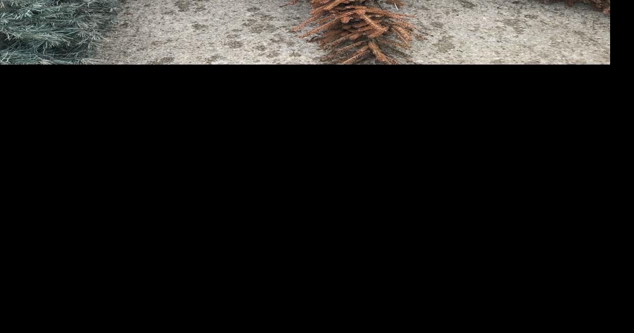 Lake Shelbyville Christmas tree recycling program announced