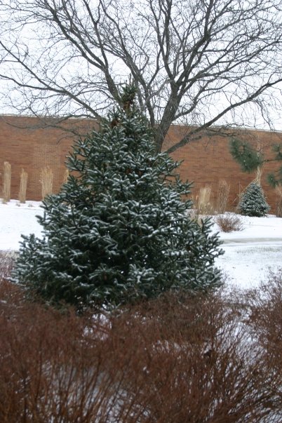 Lake Land College