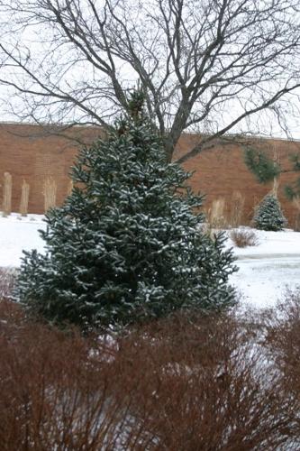 Lake Land College