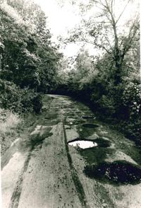 Lake Paradise road potholes