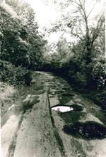 Lake Paradise road potholes