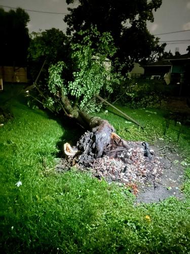 Storms leave damage, outages through Central Illinois