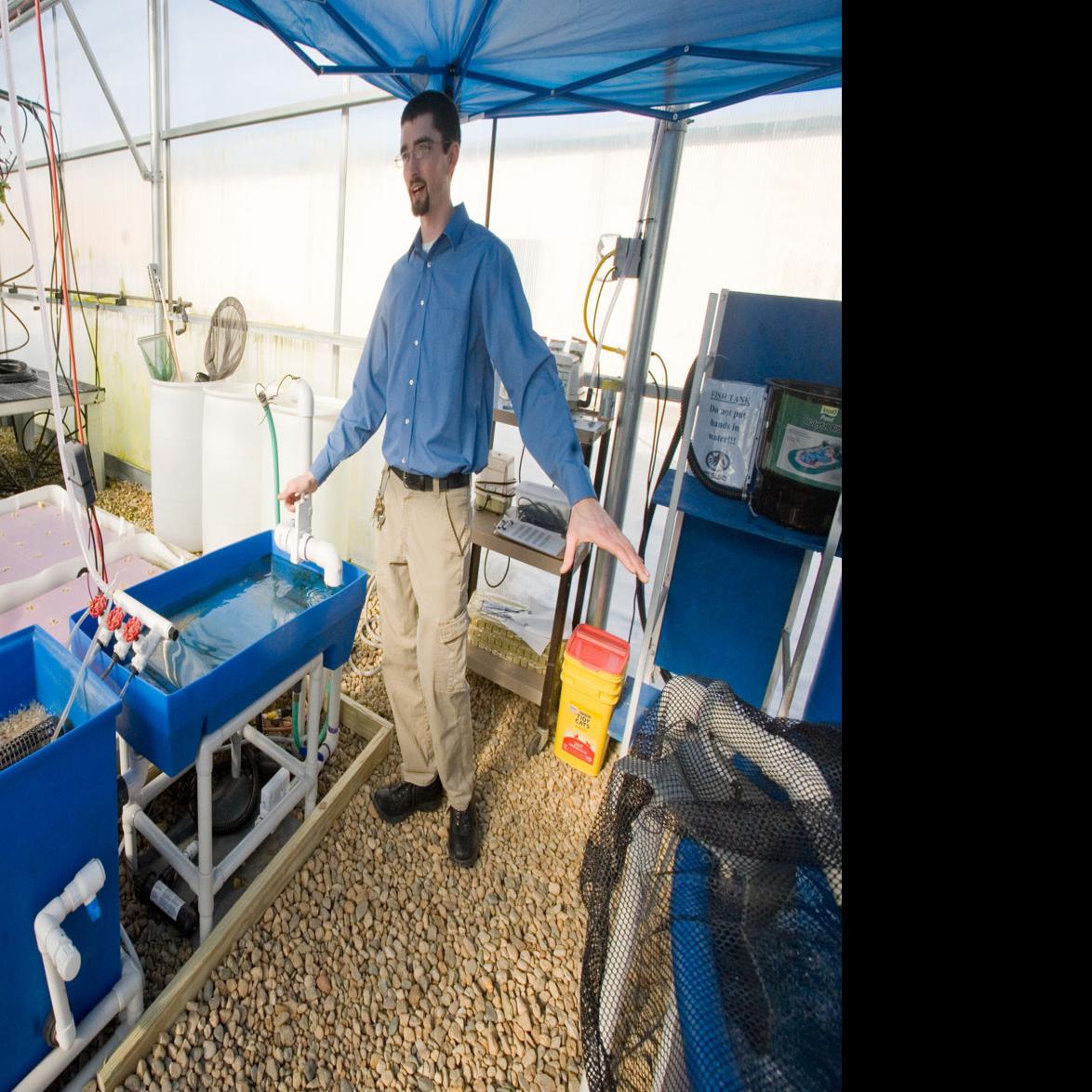 Mhs Ag Program Retrofits Fish Tank Into Aquaponic System News Jg Tc Com