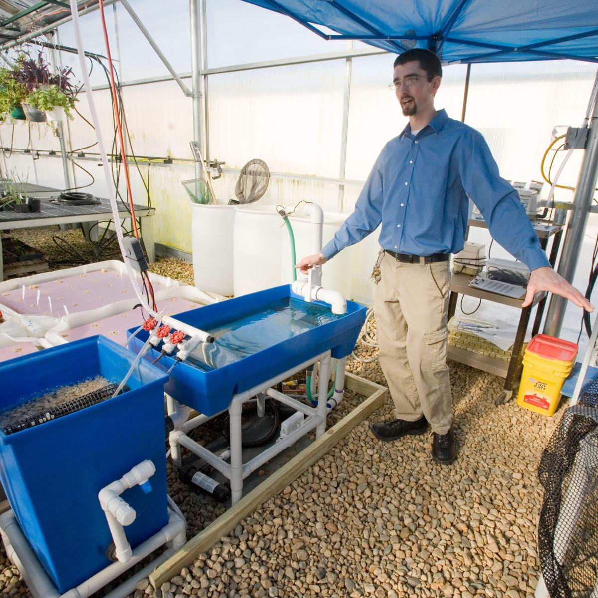 Mhs Ag Program Retrofits Fish Tank Into Aquaponic System News Jg Tc Com
