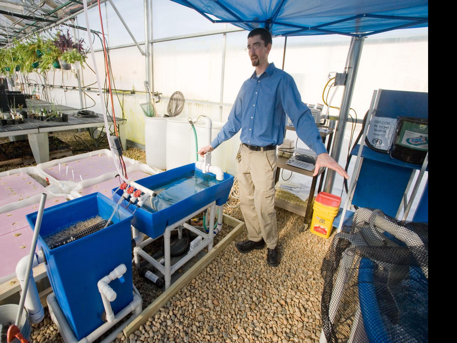 Mhs Ag Program Retrofits Fish Tank Into Aquaponic System News
