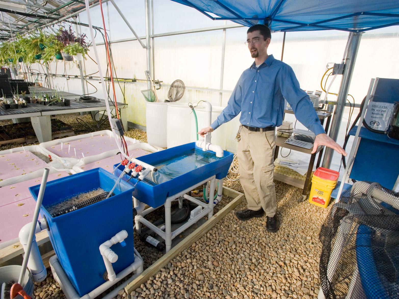 Mhs Ag Program Retrofits Fish Tank Into Aquaponic System News