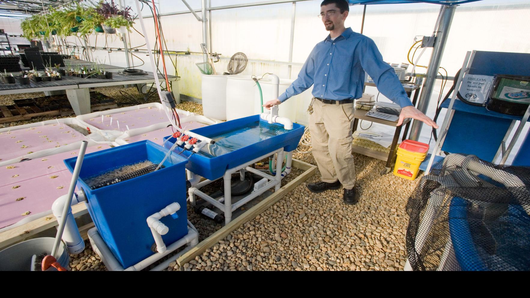 Mhs Ag Program Retrofits Fish Tank Into Aquaponic System News Jg Tc Com