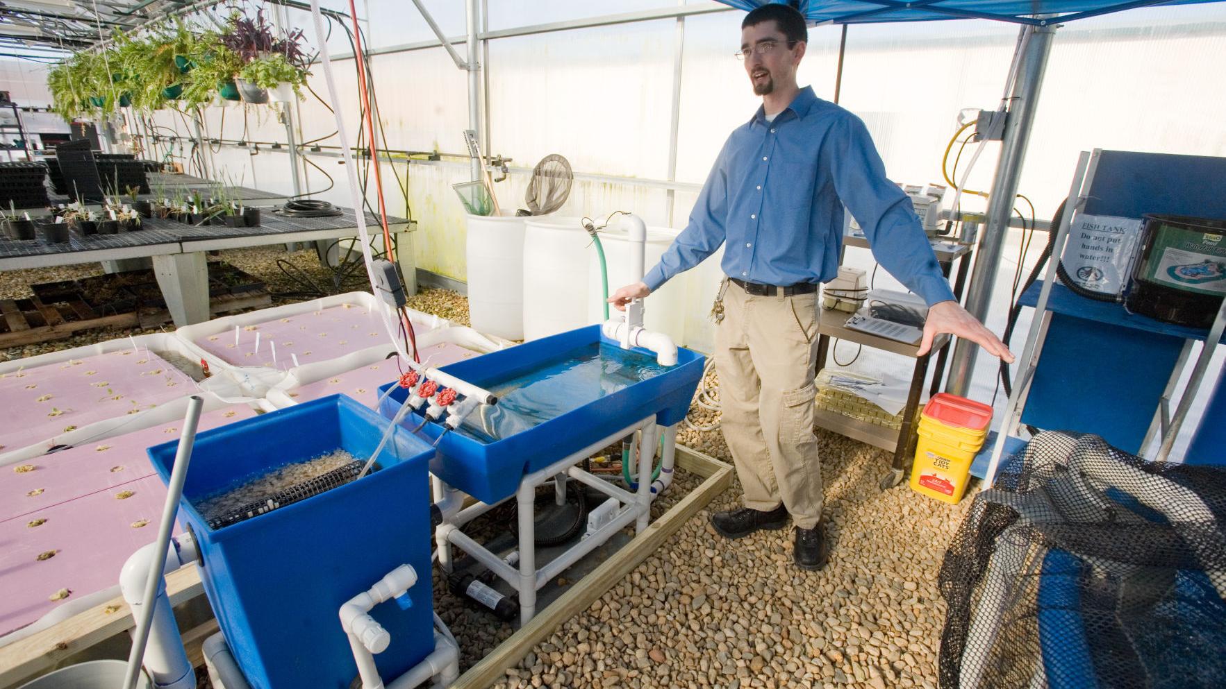 Mhs Ag Program Retrofits Fish Tank Into Aquaponic System News Jg Tc Com