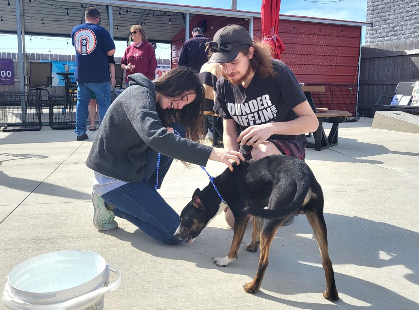 Coles County Animal Shelter holds adoption event in downtown Mattoon