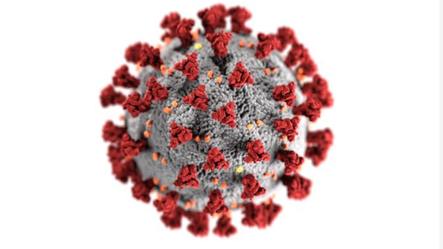 Coronavirus Health Related Cancellations Changes In Central