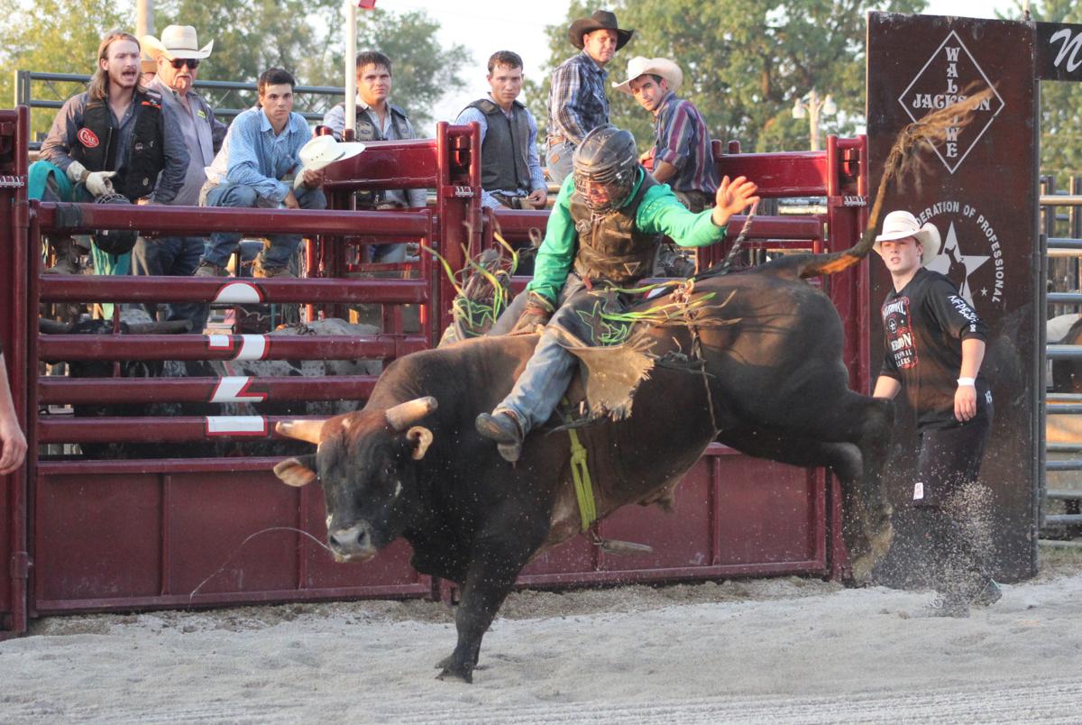 Coles County Fair hosts bull riding Local