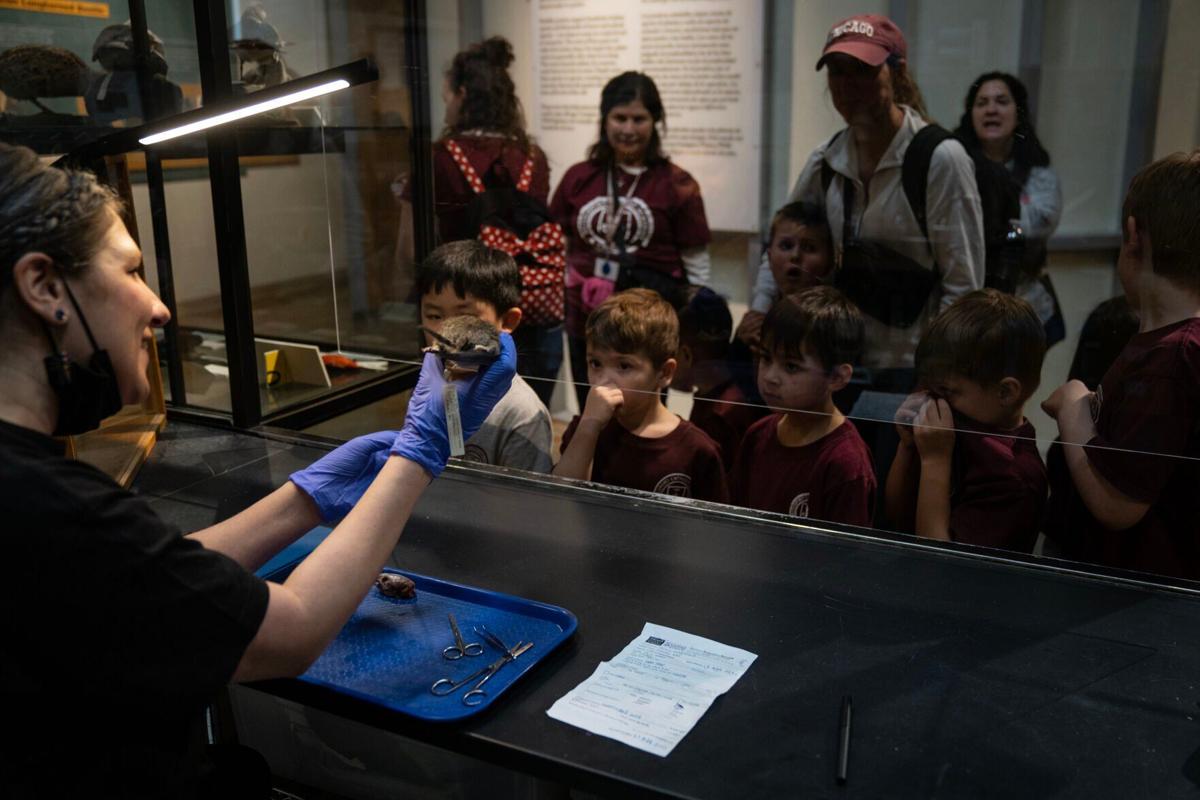 Chicago’s 'Bug Girl' wants to enlighten others on the greatness of