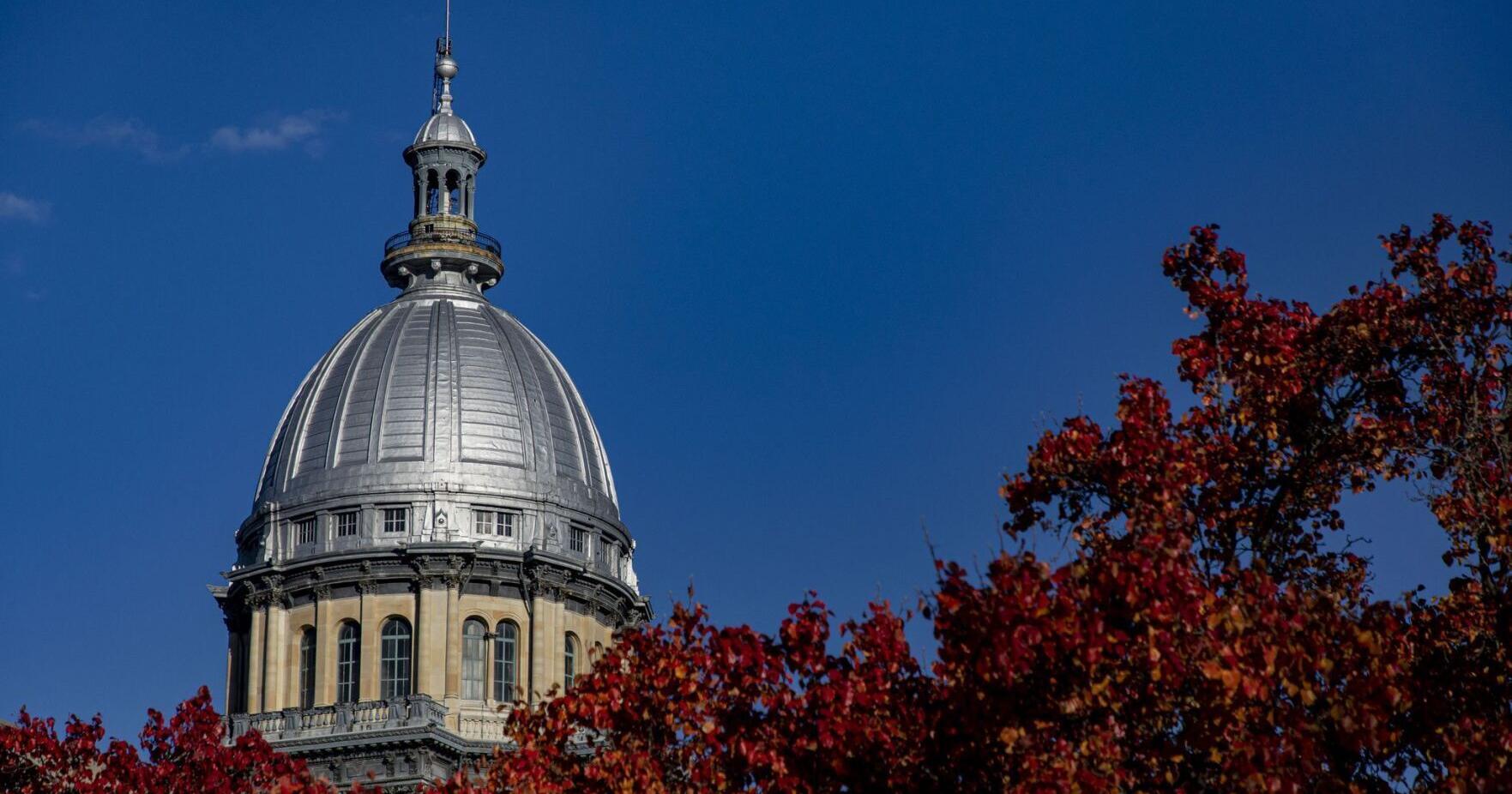 Illinois Senate passes bill seeking to add safeguards to reproductive health care records - Vimarsana News