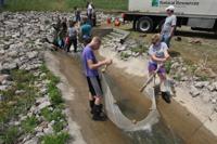 Fish Harvest 7 6.5.14.jpg