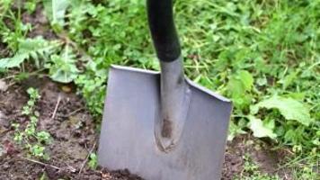 Healthy gardens start with sensible soil testing | Home & Garden Healthy gardens start with sensible soil testing | Home & Garden