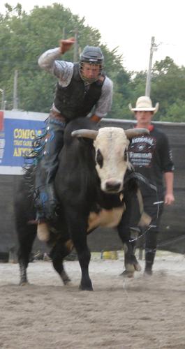 080717-mat-nws-bull-riding-phillips2-RS