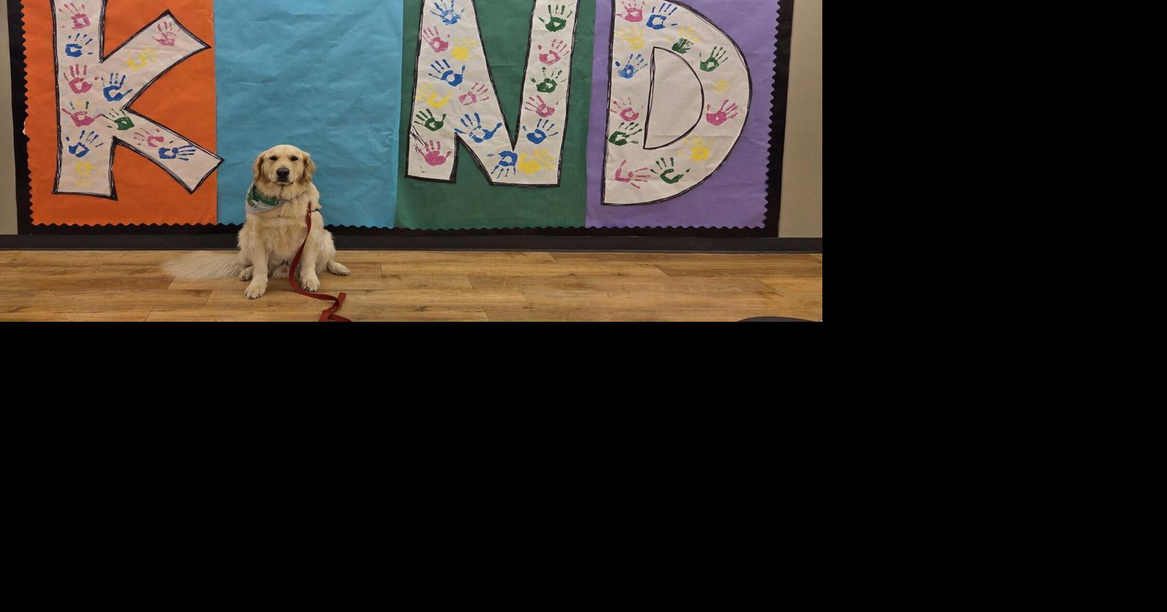 Meridian students to be greeted by a wagging tail on their first day in Stonington