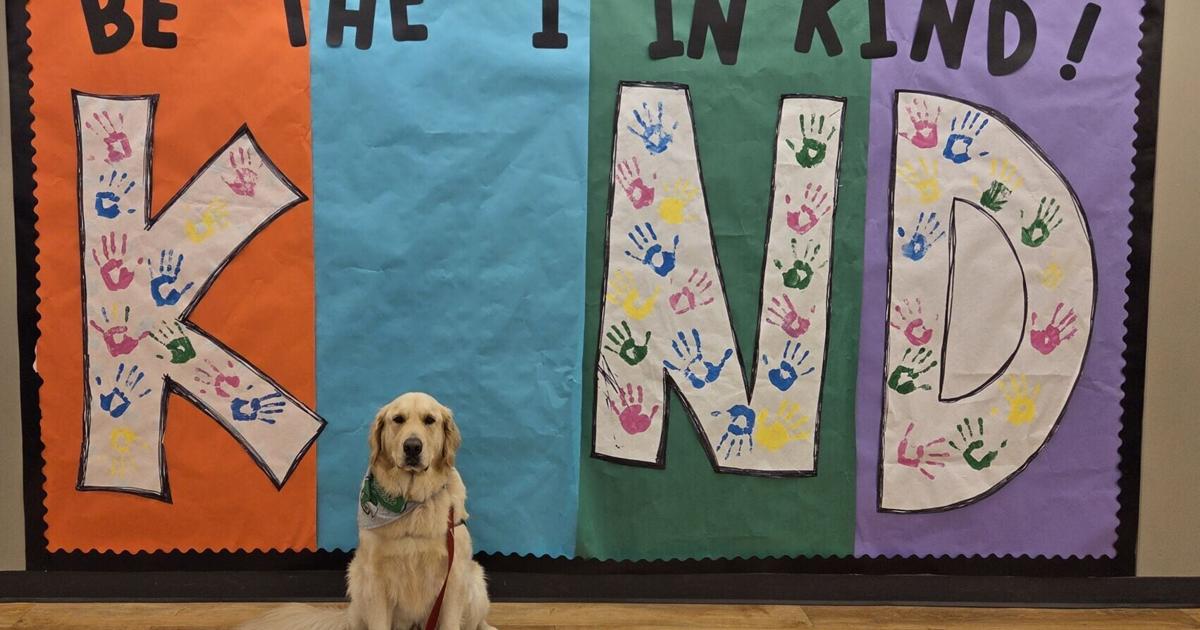 Meridian students to be greeted by a wagging tail on their first day in Stonington