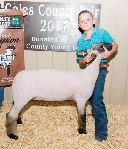 Coles County Fair - Grand Champ. Market Lamb 07/31/17