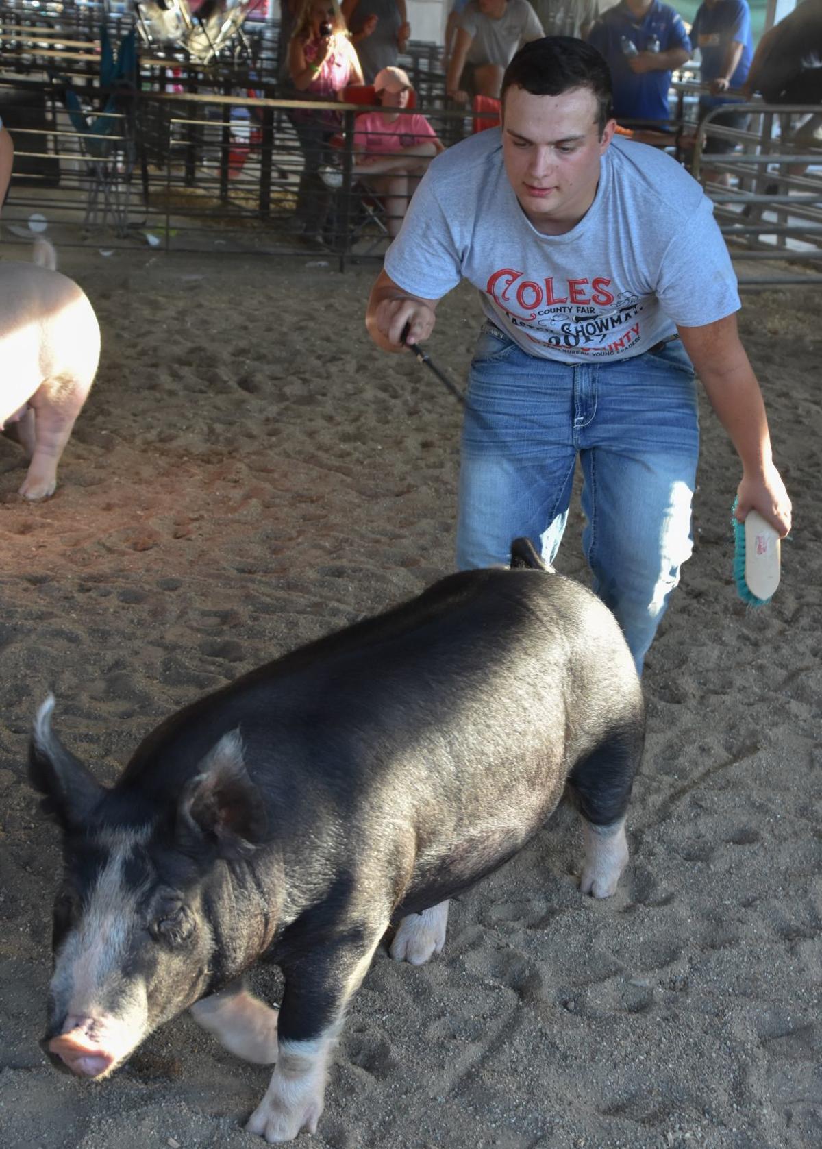 Jake Uphoff Is Second Time Winner Of Coles County Fair Showmanship