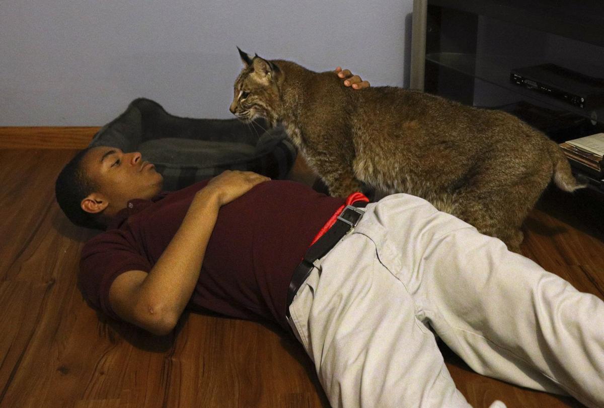 Red Kap Men's Upgraded Short Sleeve Security Shirt SP46