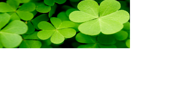 YARD AND GARDEN: Clover may be worth checking into - Vimarsana News