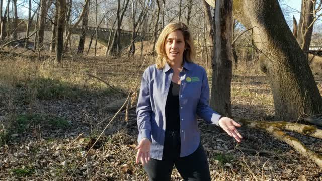 Watch now: Warbler Ridge owner group acquires 2 additional Coles County properties - Vimarsana News