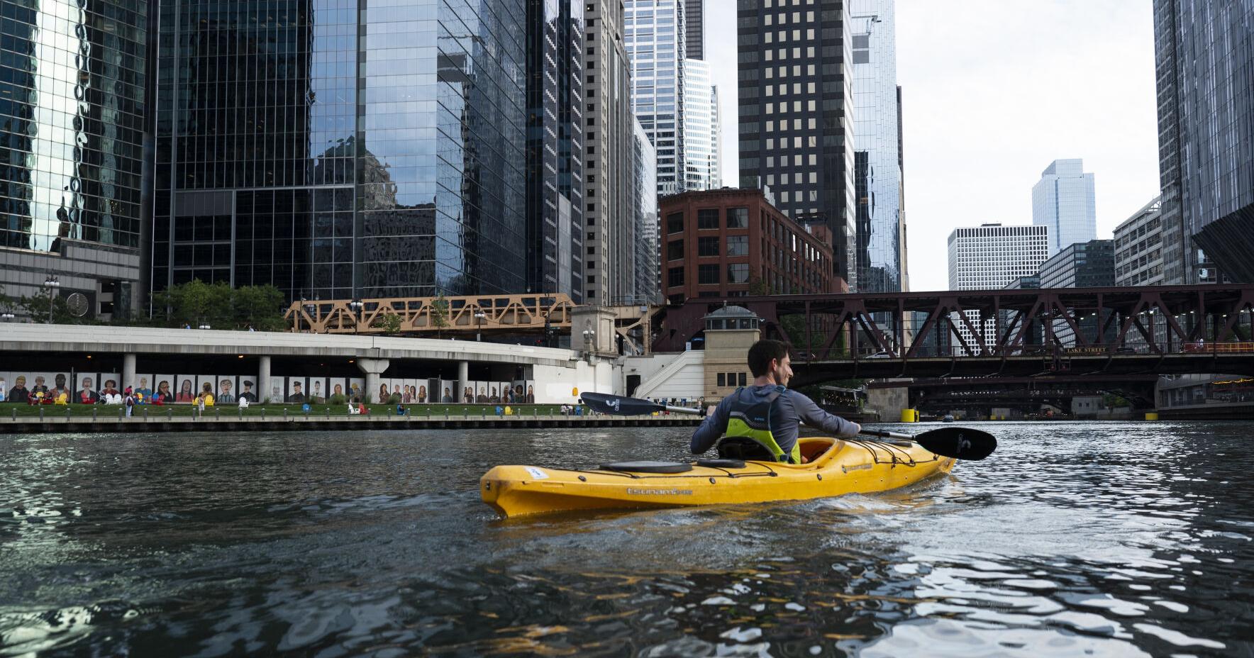 Historic open-water swim to be held in Chicago River in September - Vimarsana News