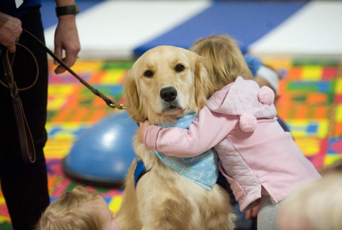 Comfort dog finds home with Charleston church Local
