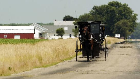 MY AMISH HOME: Going back to Cadwell | Home & Garden