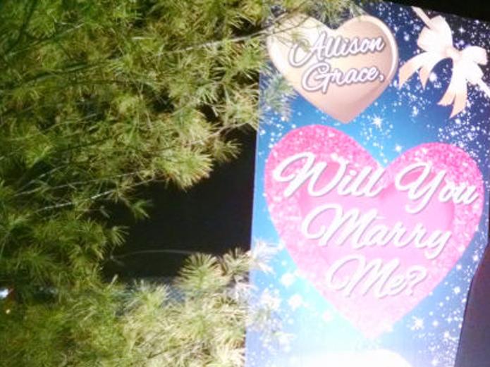 Mattoon Resident Proposes At Christmas Lighting Display News