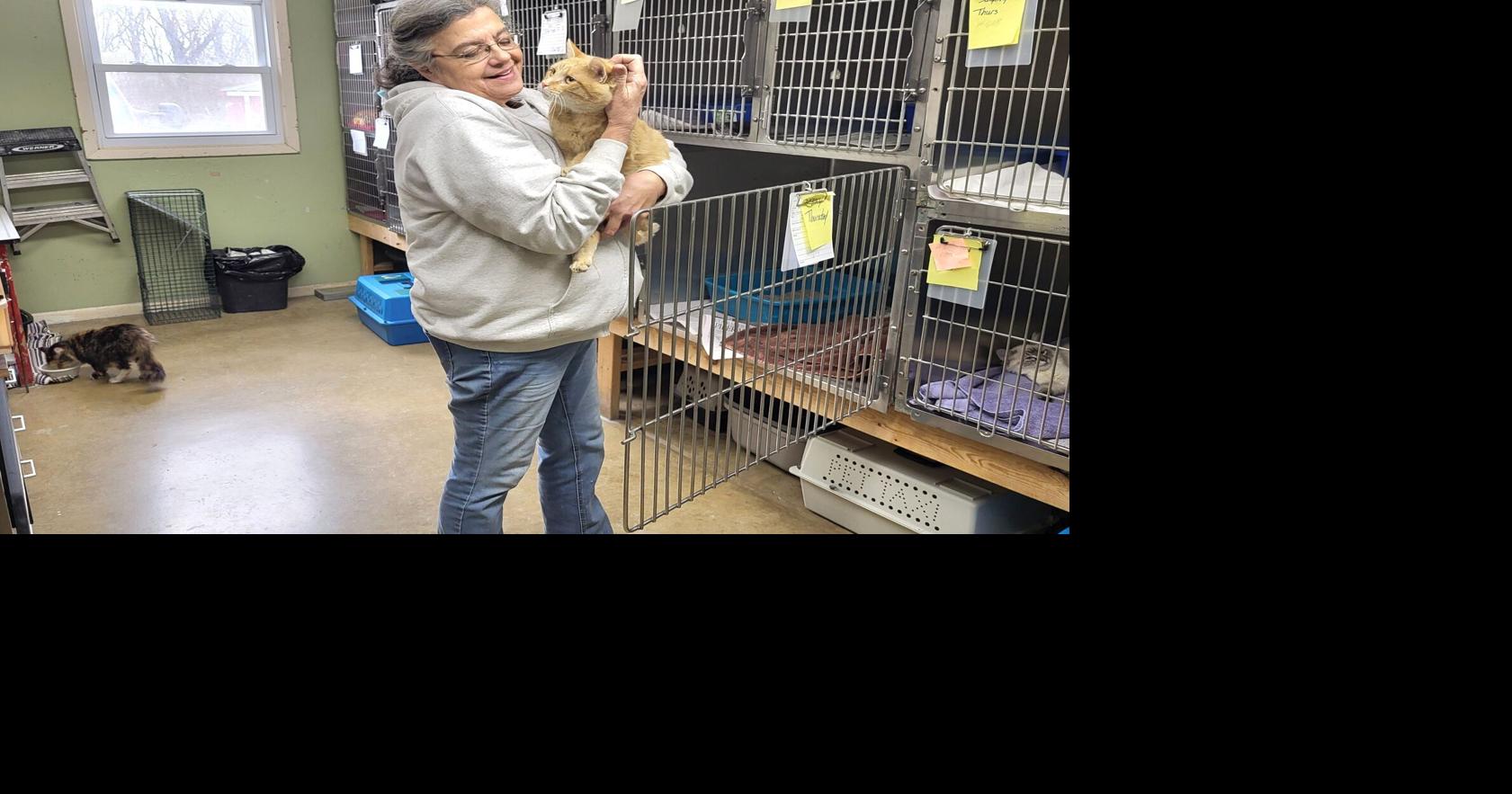 Coles County Animal Shelter seeking new storage building