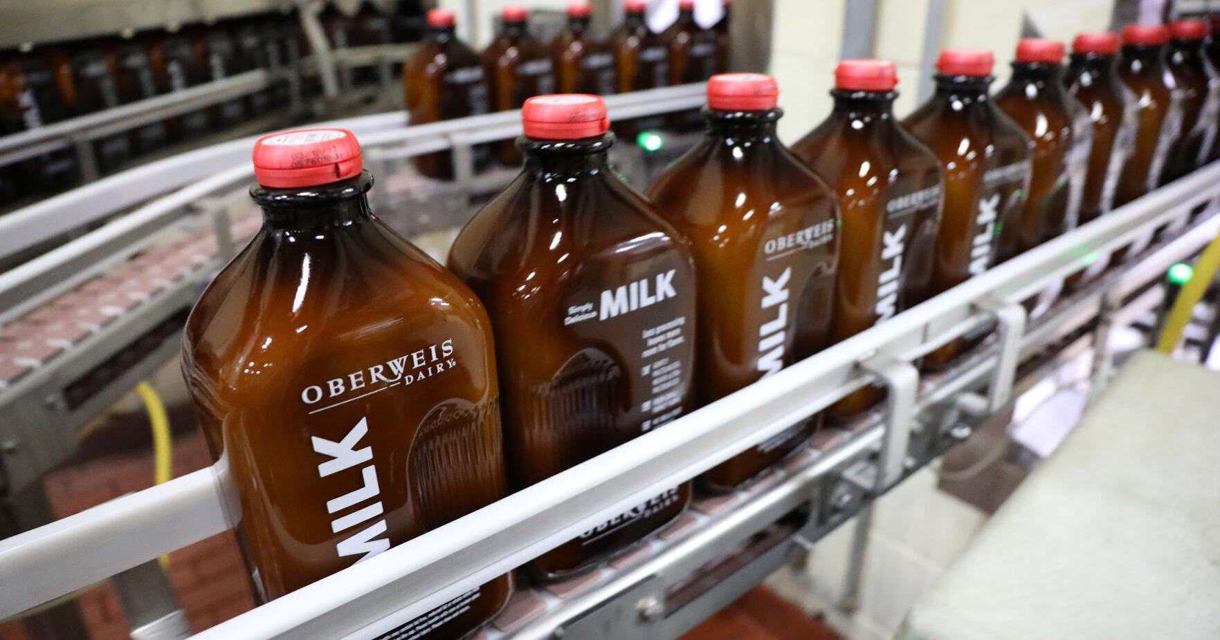 Hoffmann bids to buy Oberweis dairy out of bankruptcy - Vimarsana News
