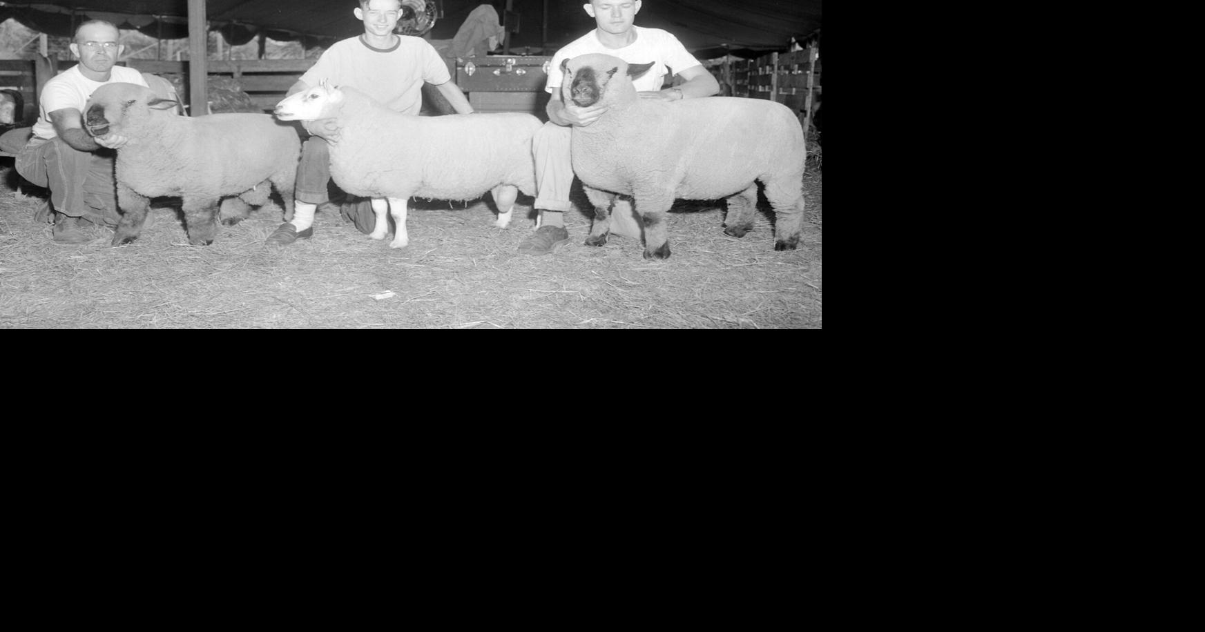 🚜 Fields of tradition: Central Illinois farming through the years