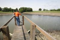 Fish Harvest 11 6.5.14.jpg