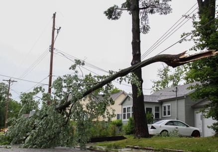 Storm damage leaves Charleston in local state of emergency - Vimarsana News