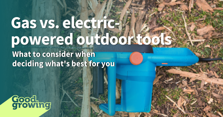 Gas or electric-powered lawn and garden tools? Gas or electric-powered lawn and garden tools?