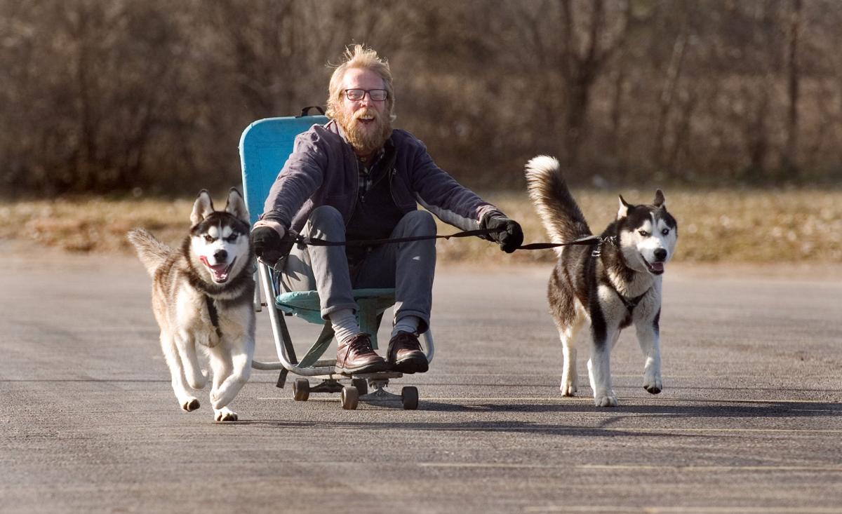 Sled Dogs 12/22/16 (1)